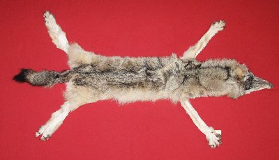 Picture of this lot Tanned Wolf Hides, Pelts, Skins