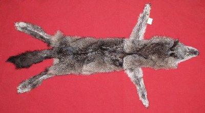 Picture of this lot Tanned Wolf Hides, Pelts, Skins