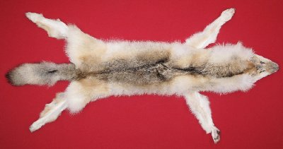 Picture of this lot Tanned Taxidermy Wolf Hides, Pelts, Skins