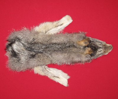 Picture of this lot Tanned Wolf Hides, Pelts, Skins