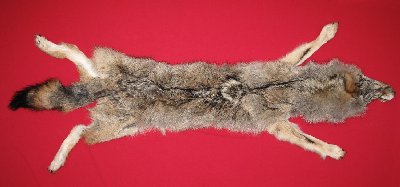 Picture of this lot Tanned Wolf Hides, Pelts, Skins