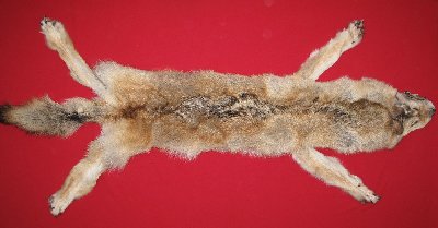 Picture of this lot Tanned Wolf Hides, Pelts, Skins