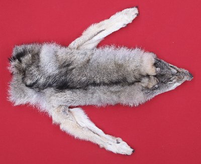 Picture of this lot Tanned Wolf Hides, Pelts, Skins