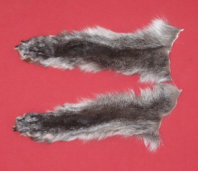 Picture of this lot Tanned Wolf Heads, Feet, Tails, Pieces