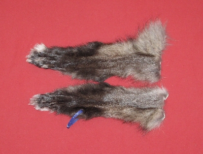 Picture of this lot Tanned Wolf Heads, Feet, Tails, Pieces