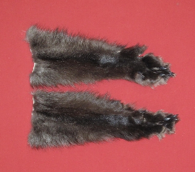 Picture of this lot Tanned Wolf Heads, Feet, Tails, Pieces