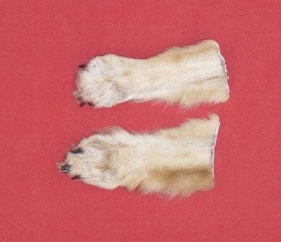 Picture of this lot Tanned Wolf Heads, Feet, Tails, Pieces