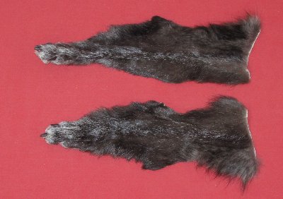Picture of this lot Tanned Wolf Heads, Feet, Tails, Pieces