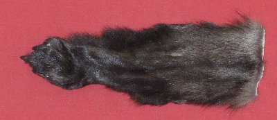 Picture of this lot Tanned Wolf Heads, Feet, Tails, Pieces