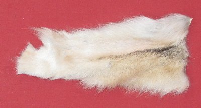 Picture of this lot Tanned Wolf Heads, Feet, Tails, Pieces