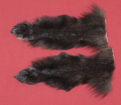 Picture of this lot Tanned Wolf Heads, Feet, Tails, Pieces