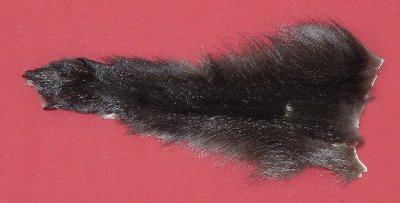 Picture of this lot Tanned Wolf Heads, Feet, Tails, Pieces