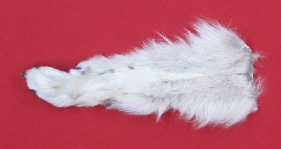 Picture of this lot Tanned Wolf Heads, Feet, Tails, Pieces