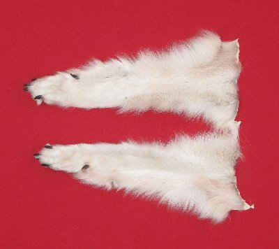 Picture of this lot Tanned Wolf Hides, Pelts, Skins