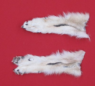 Picture of this lot Tanned Wolf Hides, Pelts, Skins