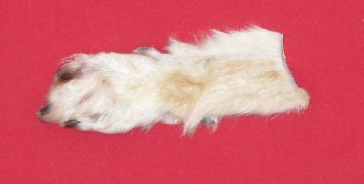 Picture of this lot Tanned Wolf Hides, Pelts, Skins