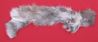 Picture of this lot Tanned Wolf Heads, Feet, Tails, Pieces