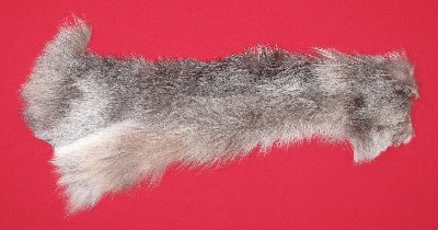 Picture of this lot Tanned Wolf Hides, Pelts, Skins