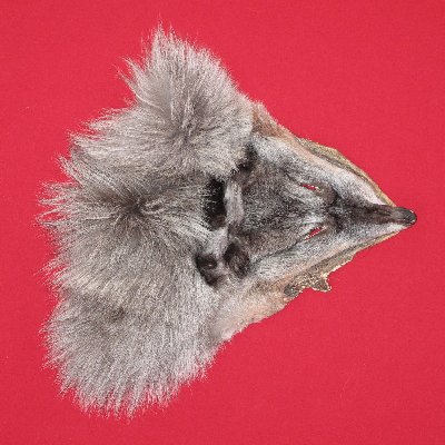 Picture of this lot Tanned Wolf Hides, Pelts, Skins