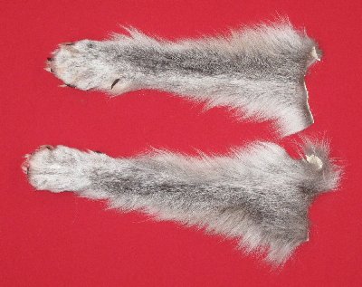 Picture of this lot Tanned Wolf Hides, Pelts, Skins