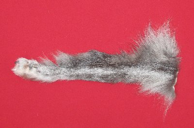 Picture of this lot Tanned Wolf Hides, Pelts, Skins