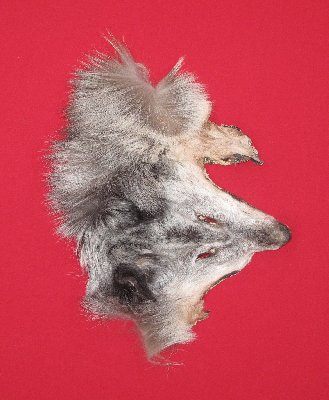 Picture of this lot Tanned Wolf Hides, Pelts, Skins