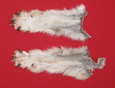 Picture of this lot Tanned Wolf Hides, Pelts, Skins