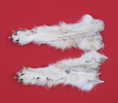Picture of this lot Tanned Wolf Hides, Pelts, Skins