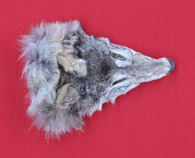 Picture of this lot Tanned Wolf Hides, Pelts, Skins
