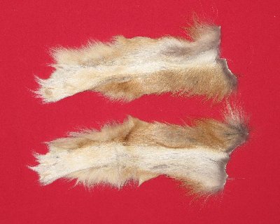 Picture of this lot Tanned Wolf Hides, Pelts, Skins