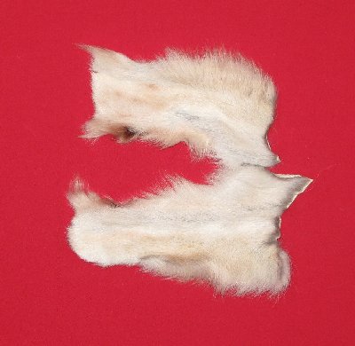 Picture of this lot Tanned Wolf Hides, Pelts, Skins