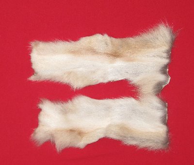 Picture of this lot Tanned Wolf Hides, Pelts, Skins