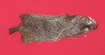 Picture of this lot Tanned Woodchuck Hides, Furs, Pelts, Skins