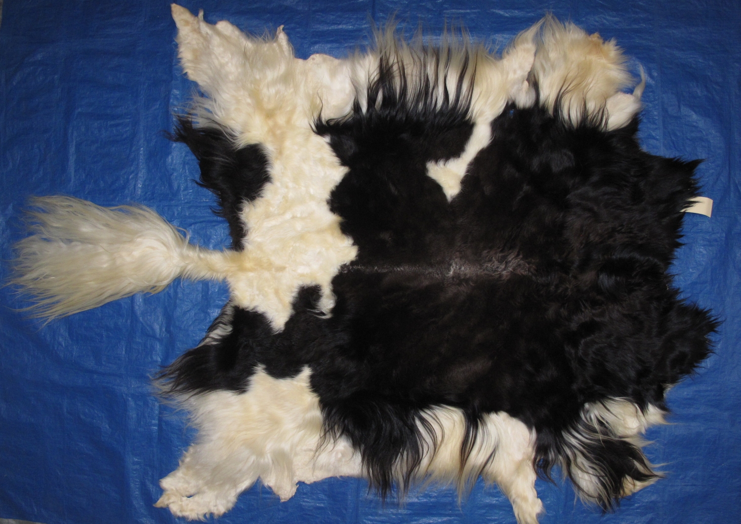 Tanned Furs YAK (75500001)