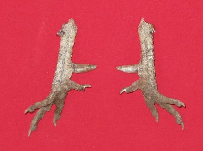 Picture of this lot Bird Feet, Chicken Feet, Rooster Feet, Turkey Feet