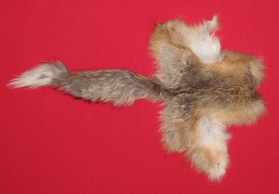 Picture of this lot Tanned Furs - Misc. Pieces